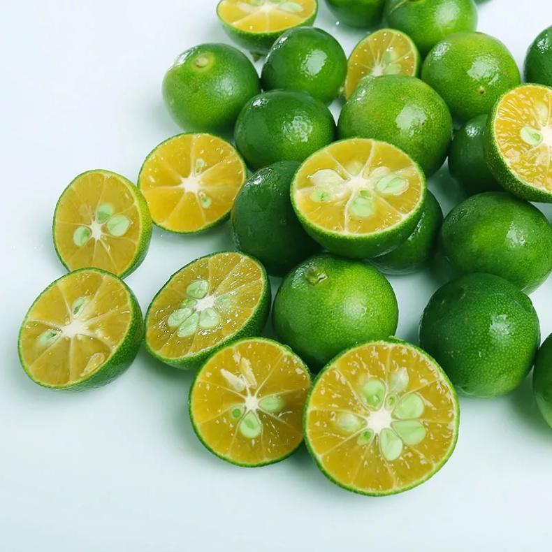 1675666774428498.jpg 4.jpg