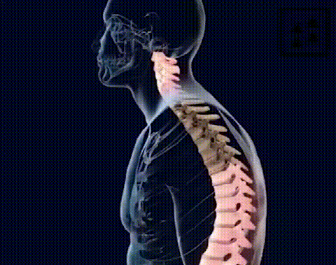 1727731325102641.gif 10012.11_20240529111116_984_20240611182712_631.gif