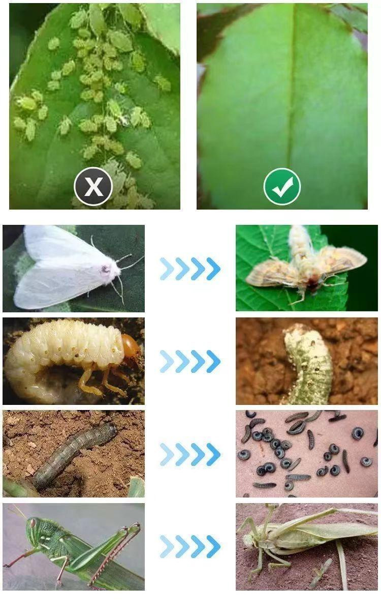 1733293275839324.jpg ce441685e2aeda70aea551c64801358c.jpg