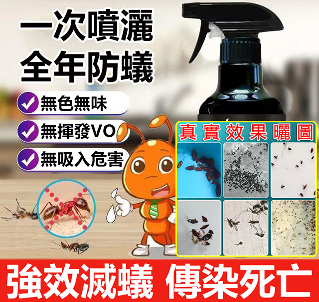 家裡發現一只螞蟻,墻角已經成千上萬了,趕緊用這款「螞蟻一噴淨」!